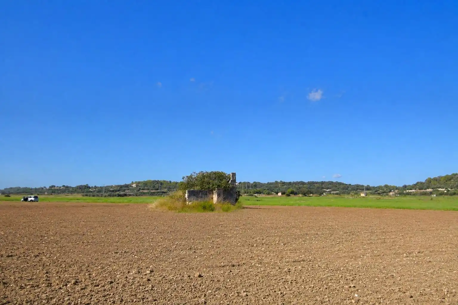 Rural land for sale in Muro, imagen 12