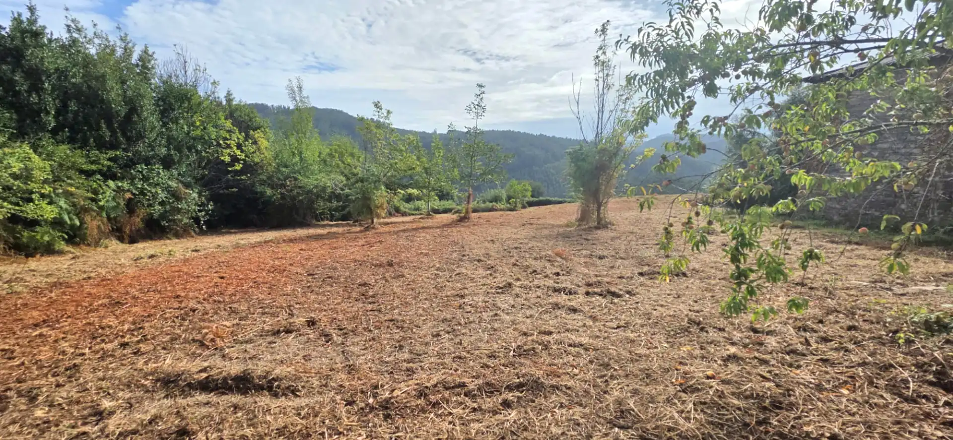 Finca rústica en venda en Valdoviño amb Jardí privat