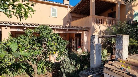 Foto 3 de Finca rústica en venda a Santa Catalina, Palma de Mallorca