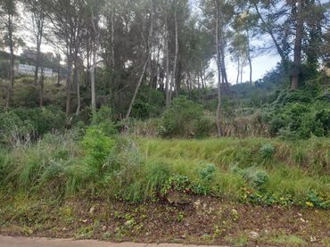Terreno residenziale in vendita a PIRINEUS DELS (M. MESTRE)