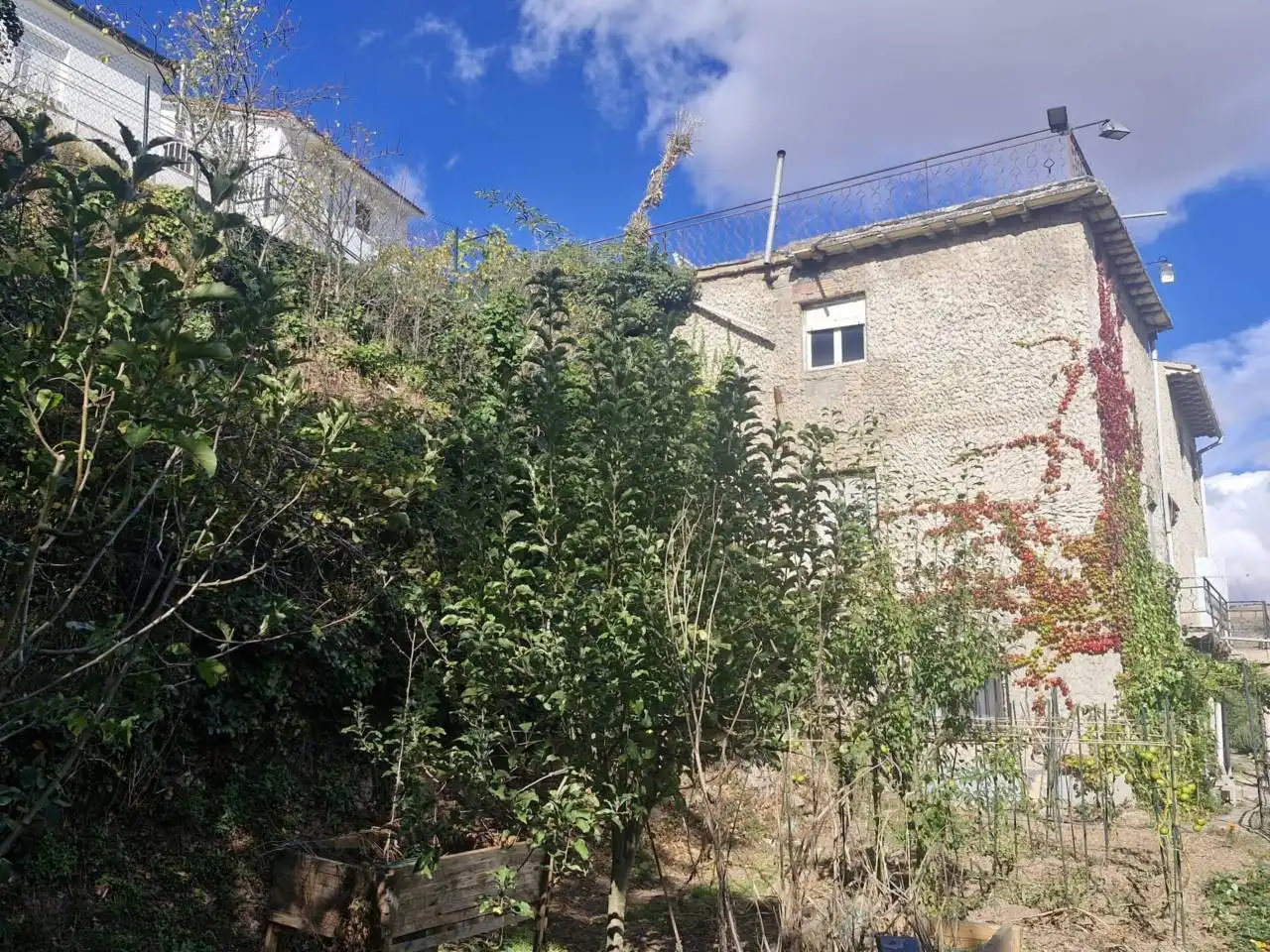 Casa amb jardí en venda a Calle Mayor, imagen 6