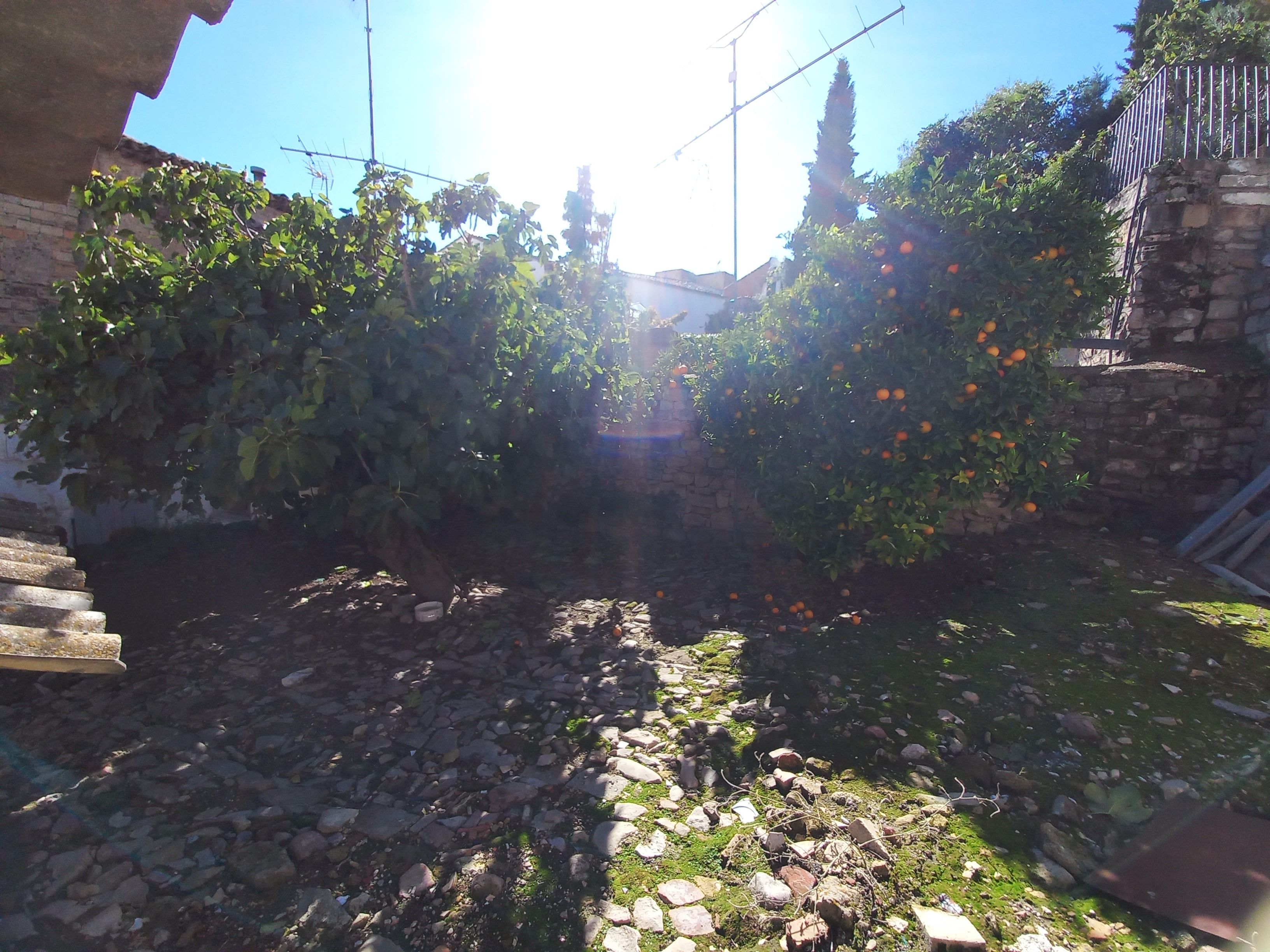 Garden of House or chalet for sale in Úbeda