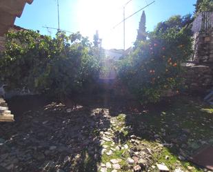 Garden of House or chalet for sale in Úbeda
