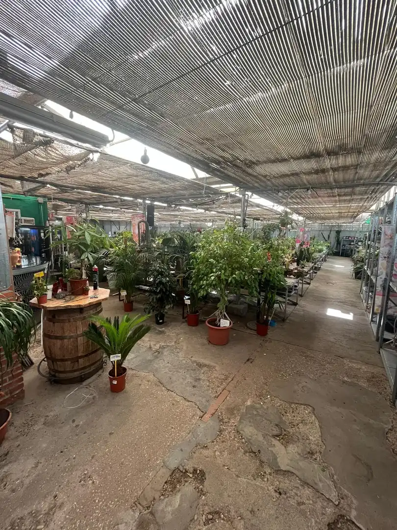 Terreno industrial en venta en Avenida de Madrid, Reyes Católicos
