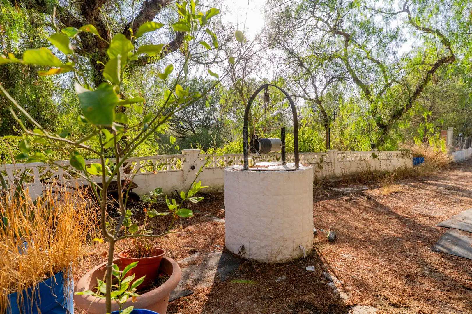 Jardí de Casa o xalet en venda en Segorbe amb Jardí privat, Terrassa i Piscina