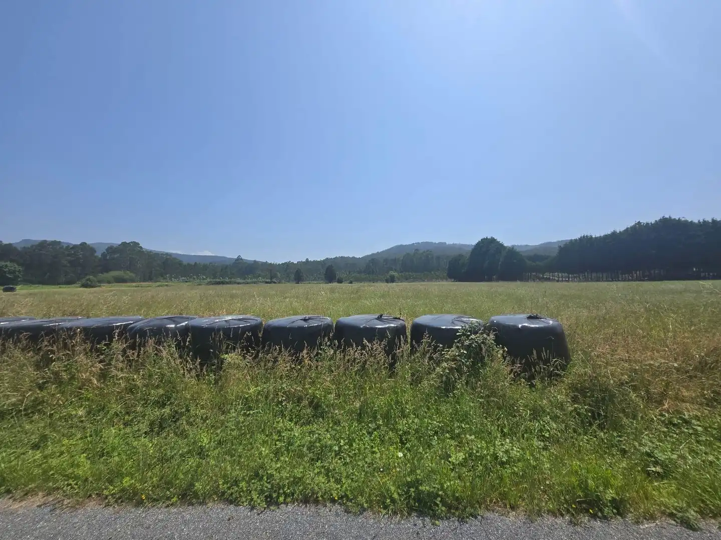 Residential land for sale in Carretera GENERAL SAN PEDRO 148, imagen 23