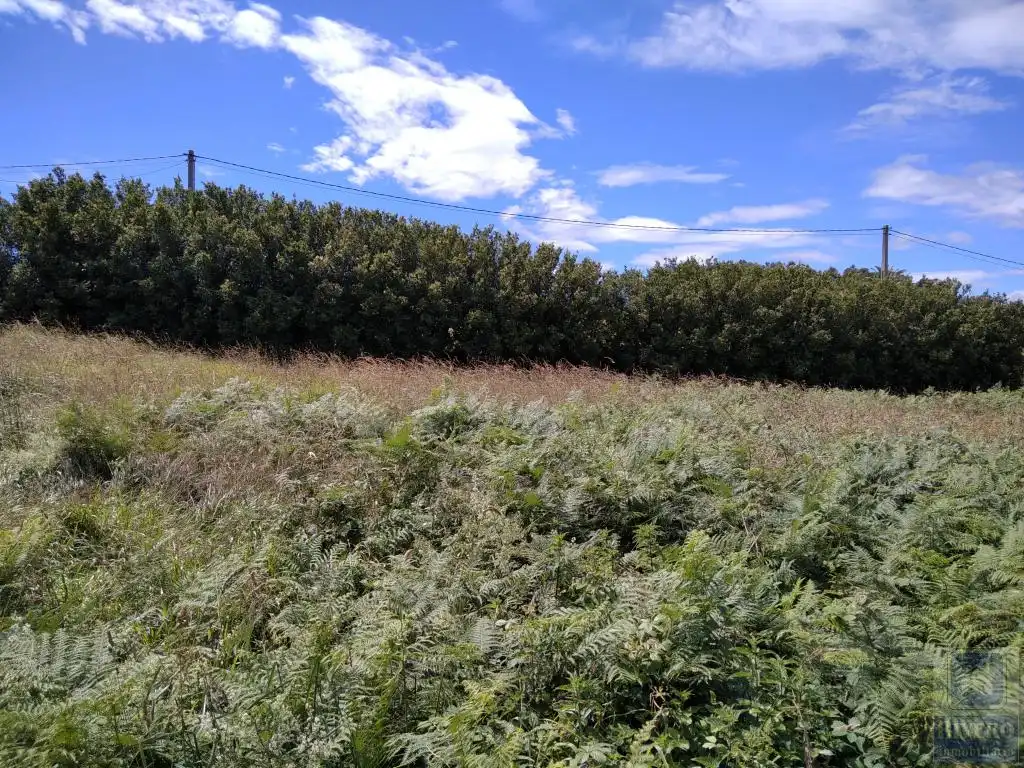 Terreno rustico in vendita a Santa María del Mar - El Puerto, imagen 8