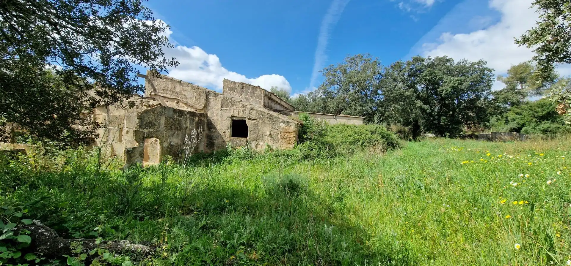 Exterior view of Country homes for sale in Manacor