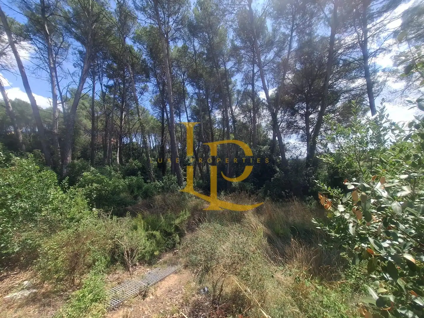 Terrain résidentiel à vendre à Carrer de las Camèlies, imagen 8