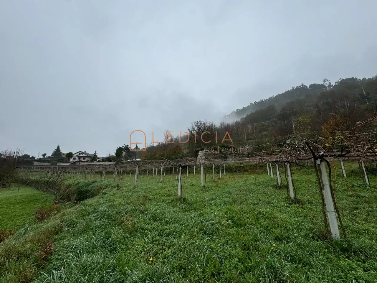 Rural land for sale in San Martiño de Verducido, imagen 10