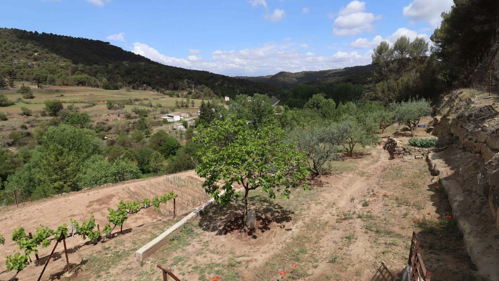 Jardí de Terreny industrial en venda en Monistrol de Calders