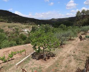 Garden of Industrial land for sale in Monistrol de Calders