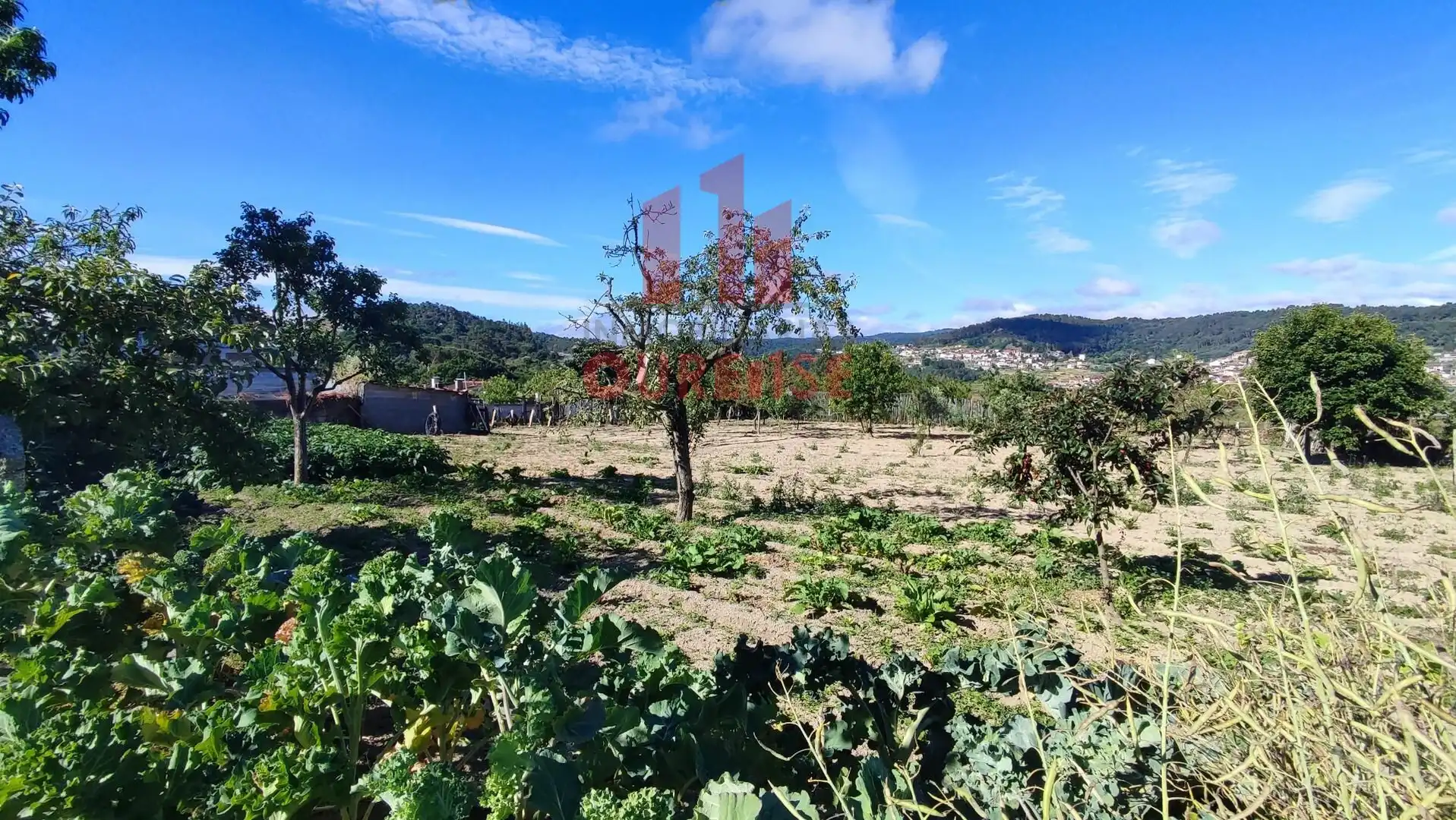 Country homes for sale in San Cibrao das Viñas  with Storage room