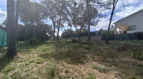 Imatge 5 de l'anunci