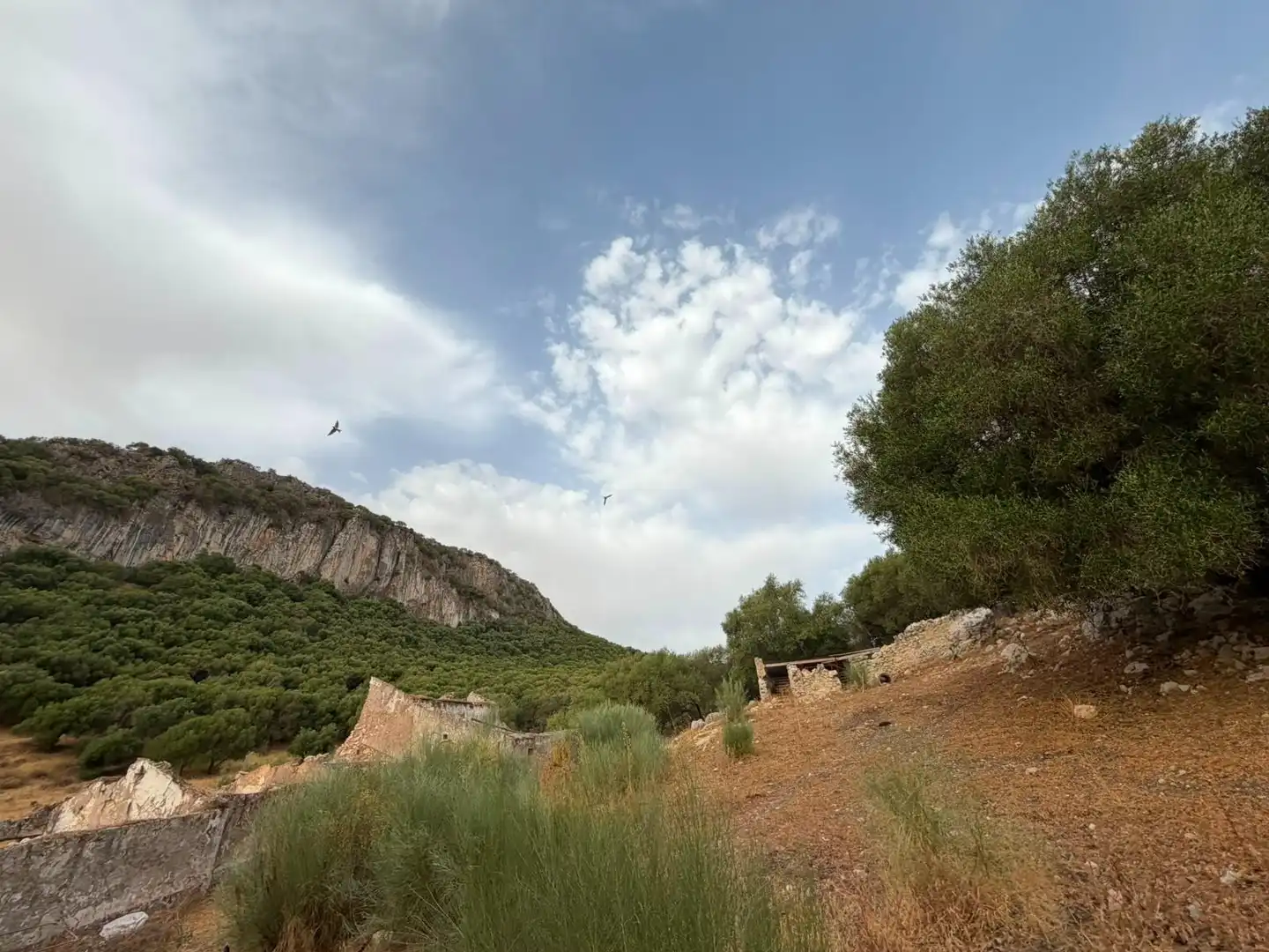 Rural land for sale in Morón de la Frontera, imagen 18