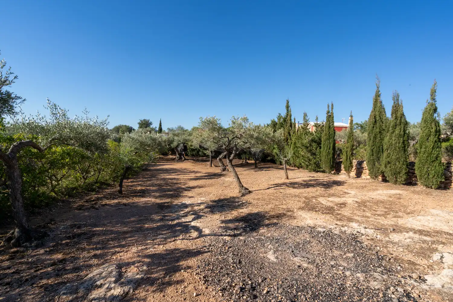Landhaus mit Garten zum Verkauf in Camí del Ranxero 29, imagen 37