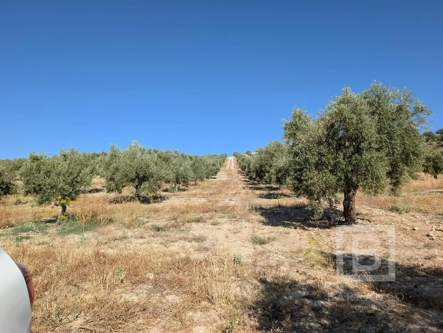 Terreno rustico in vendita a Maracena, imagen 3