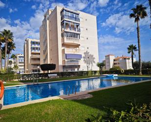 Vista exterior de Estudi en venda en Elche / Elx amb Terrassa i Piscina comunitària