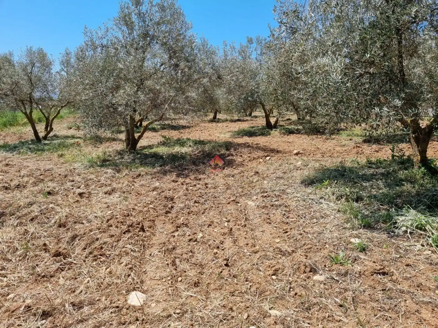 Terreni e lotti in vendita a Casco Histórico, imagen 10
