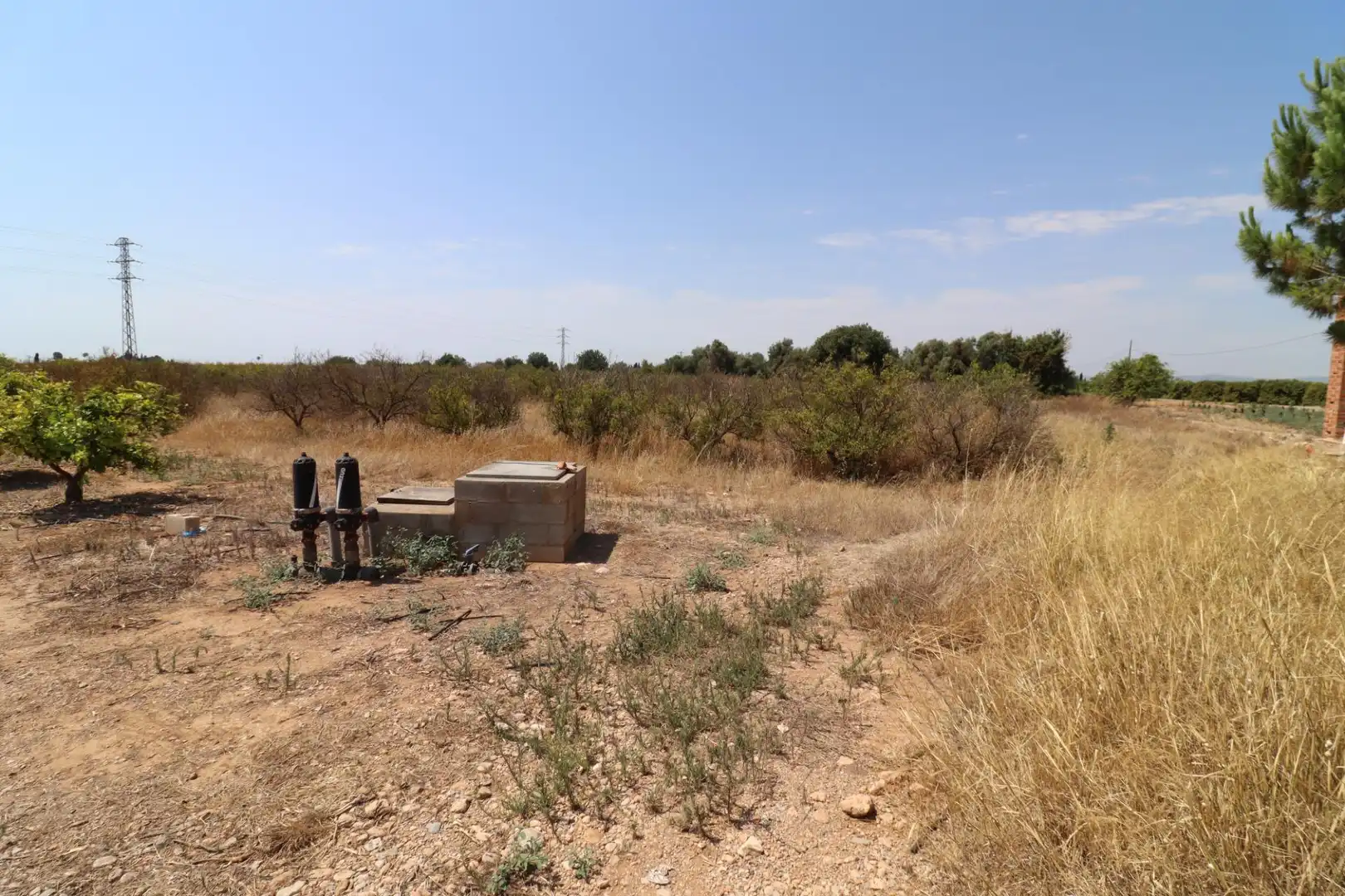 Terreno rustico in vendita a Alcanar, imagen 3