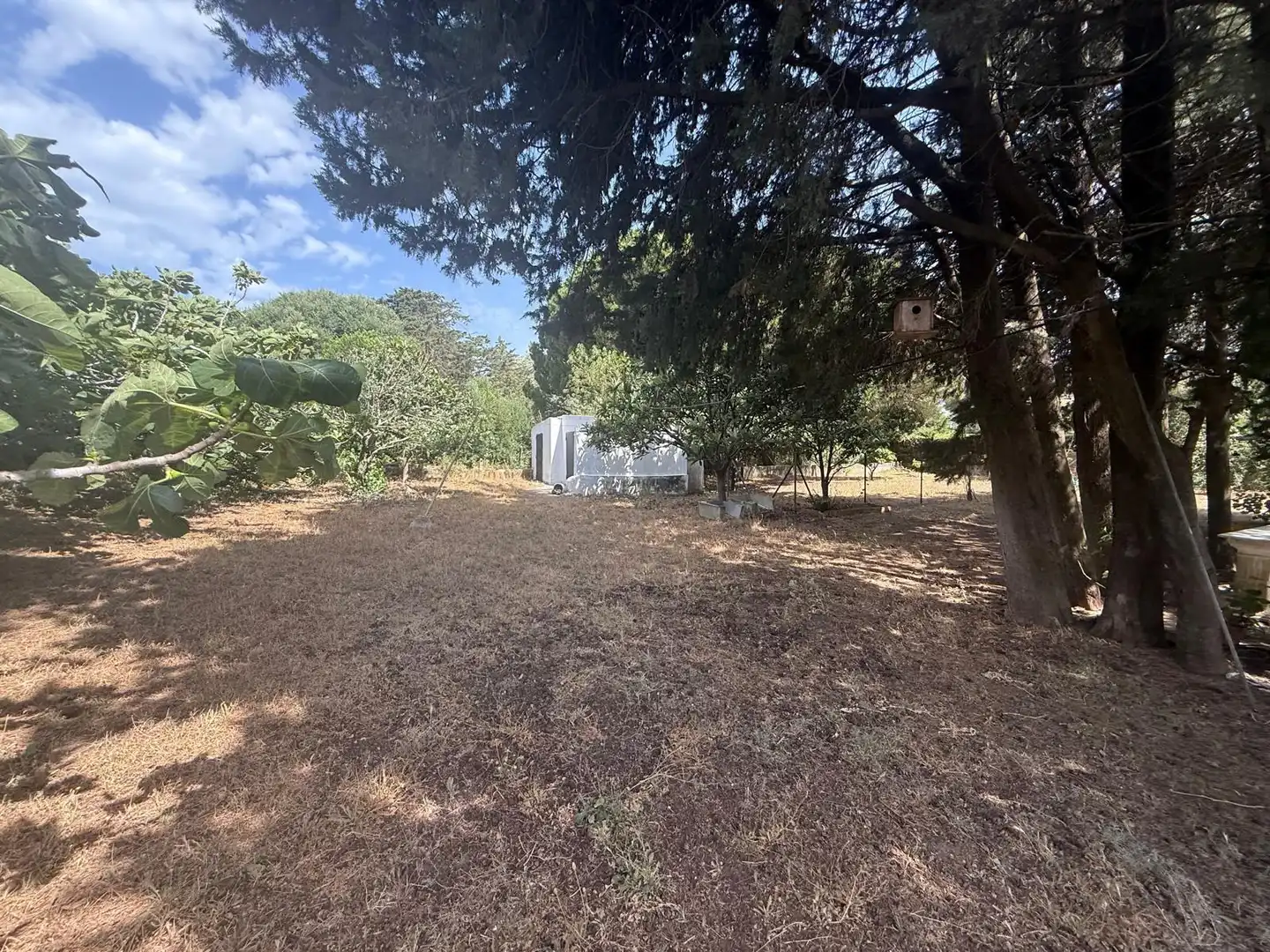 Casa o xalet en venda en Vejer de la Frontera amb Aire condicionat, Calefacció i Jardí privat