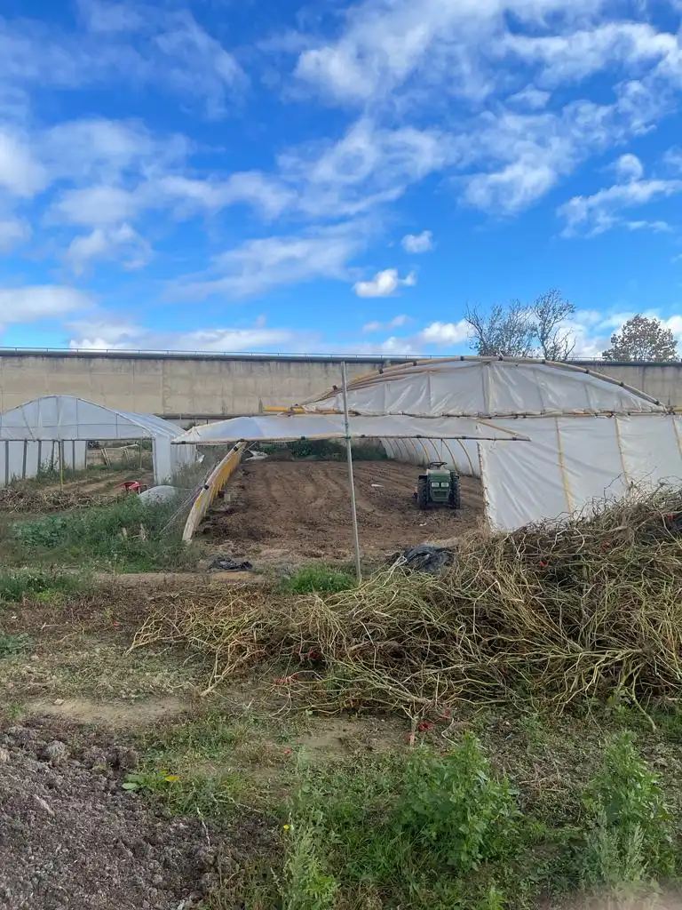 Terreno rustico in vendita a Calahorra, imagen 2