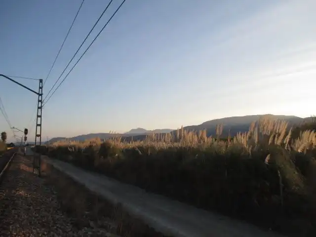 Terreny rústic en venda a El Marenyet, imagen 5