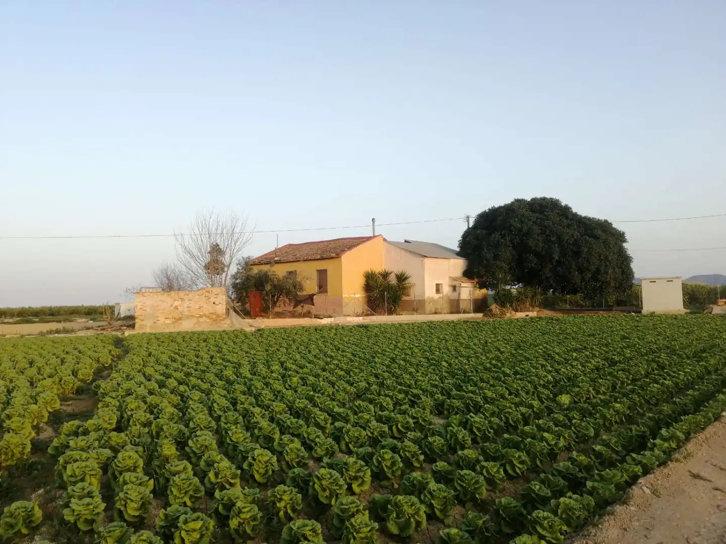 Casa o xalet en venda en Orihuela