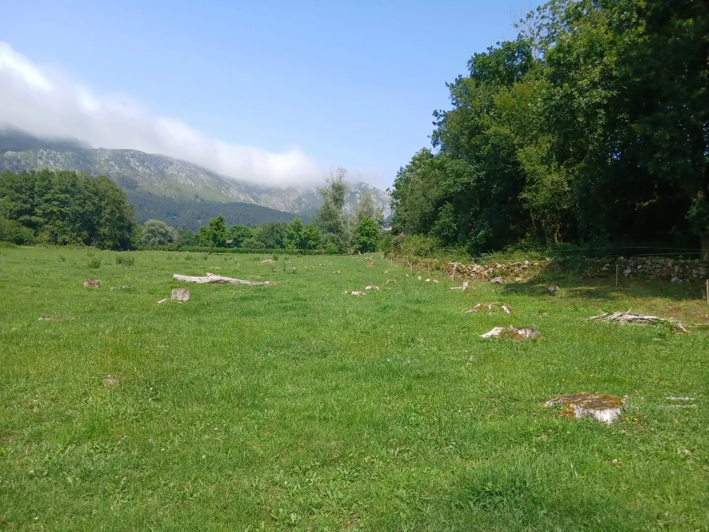 Terreni e lotti in vendita a San Felices de Buelna, imagen 17