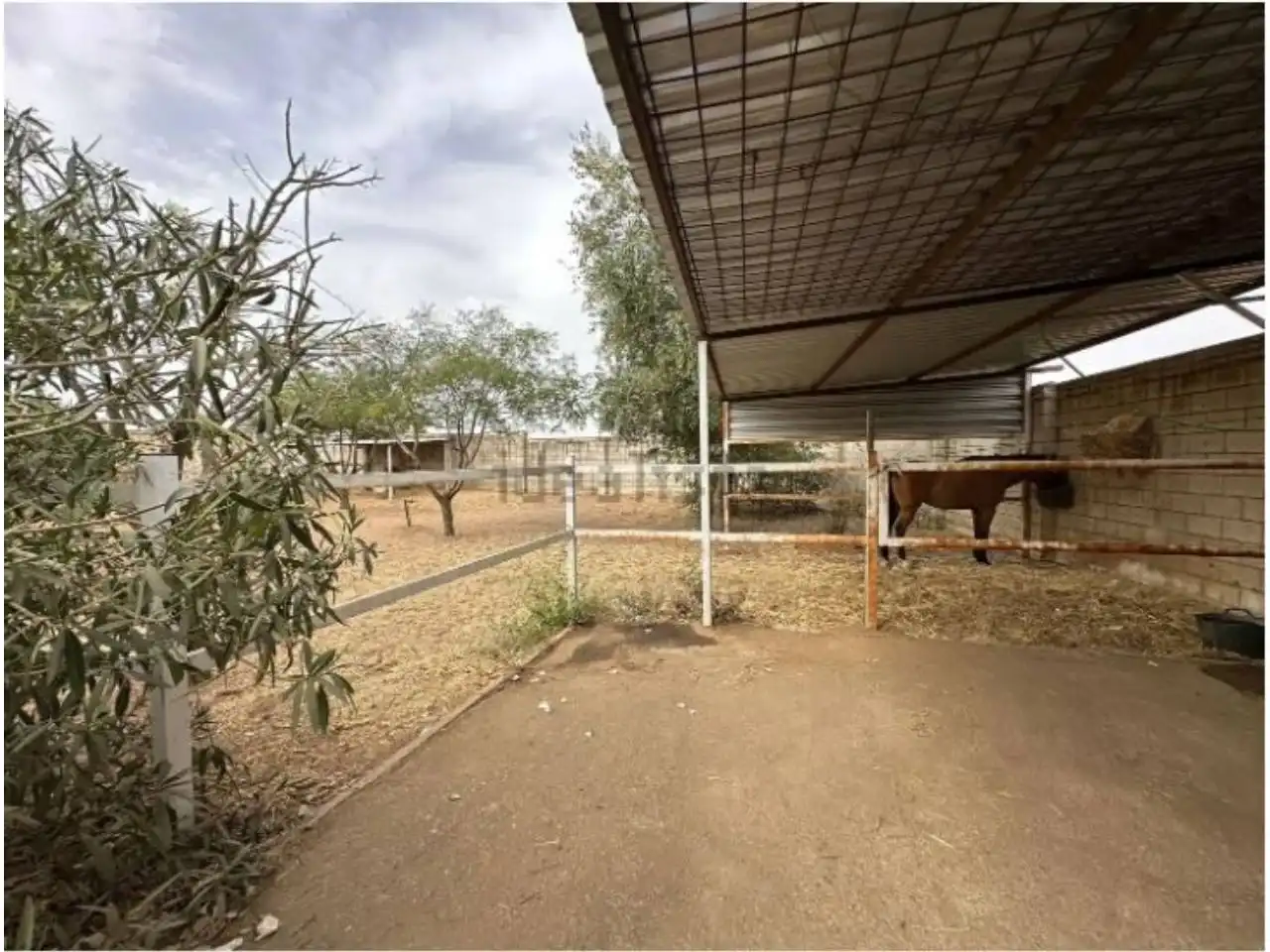 Chalet con piscina en venta en Urbanizacion Regidor, imagen 12