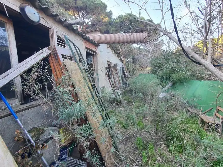 Buildings for sale in Calella