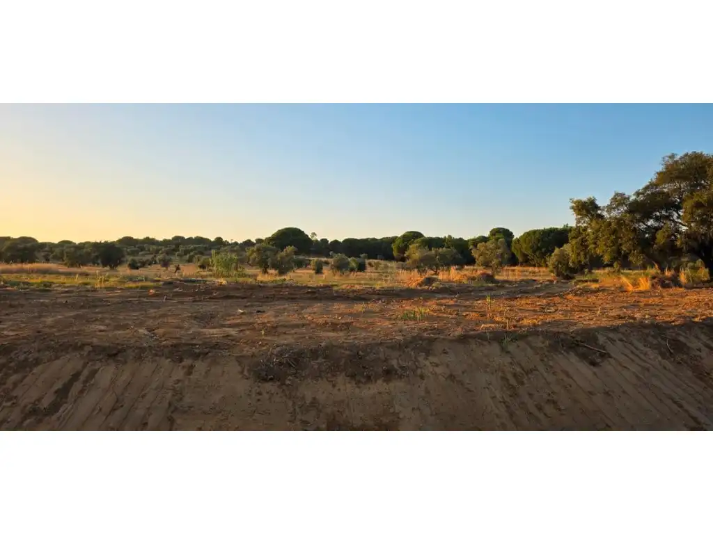 Terreny residencial en venda a Villablanca, imagen 4