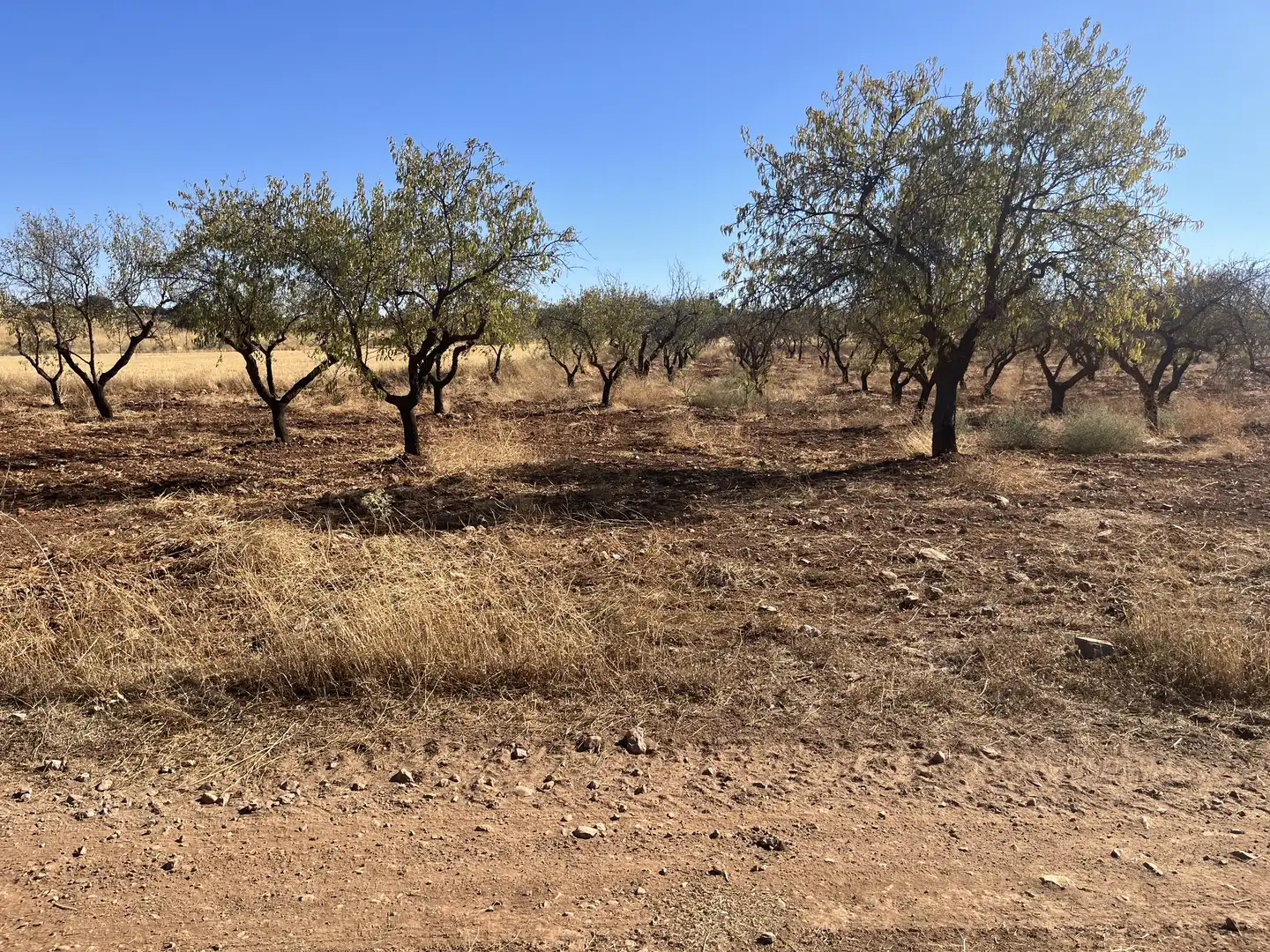 Rustikales Grundstück zum Verkauf in Avenida de Andalucía, imagen 8