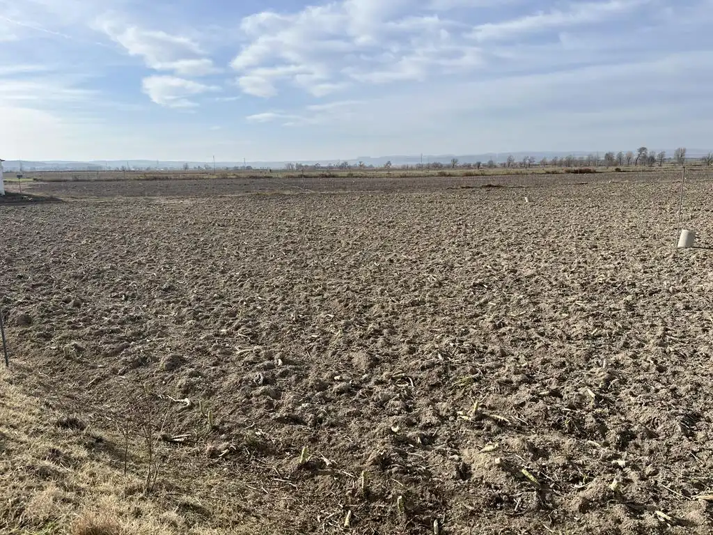 Terreno rustico in vendita a San Pedro, imagen 3