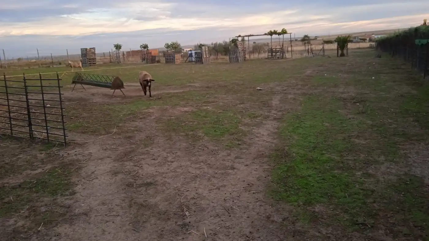 Terreni e lotti in vendita a Sierra de Fuentes, imagen 7