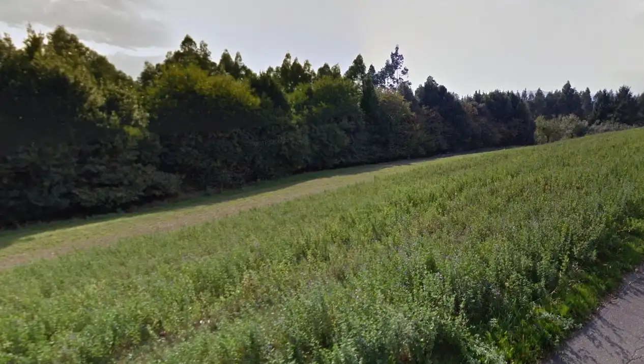 Residential land for sale in Barrio Picun, imagen 2
