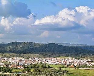 Vista exterior de Casa o xalet en venda en Las Navas de la Concepción