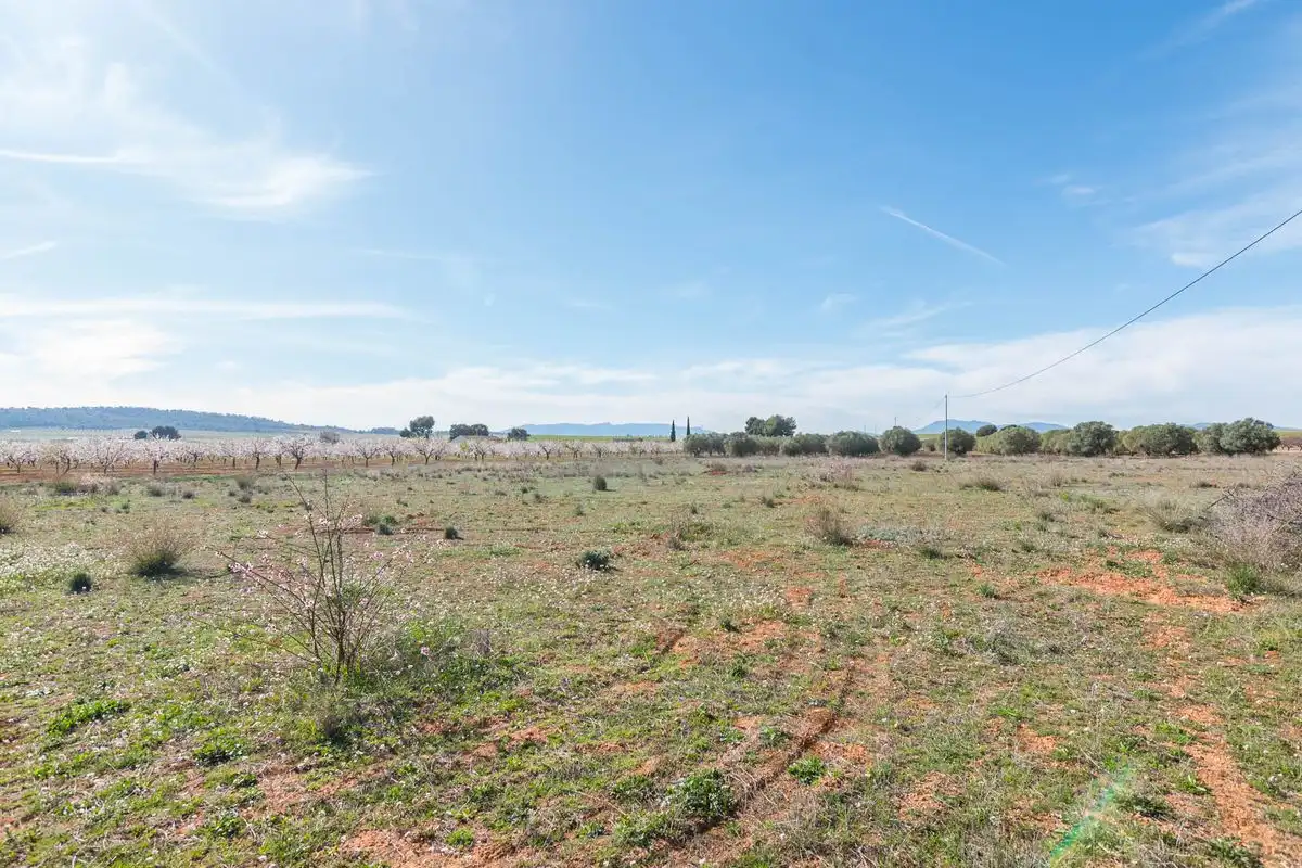 Casa rústica amb jardí en venda a ARDAL. MULA (Murcia), imagen 39