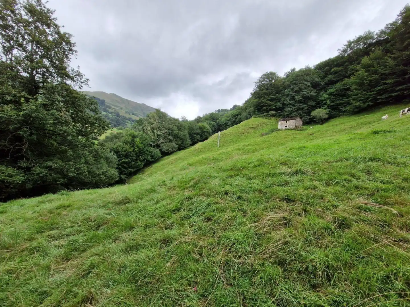 Terreno en venta en Selaya