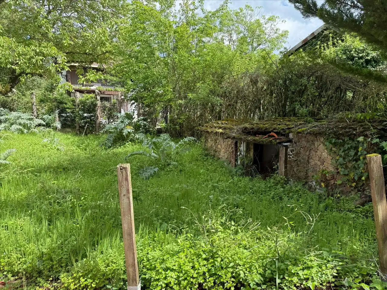 House with garden for sale in Albeniz, imagen 29