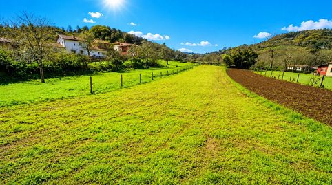 Parc.Urbana en venta en Grado., immagine 3