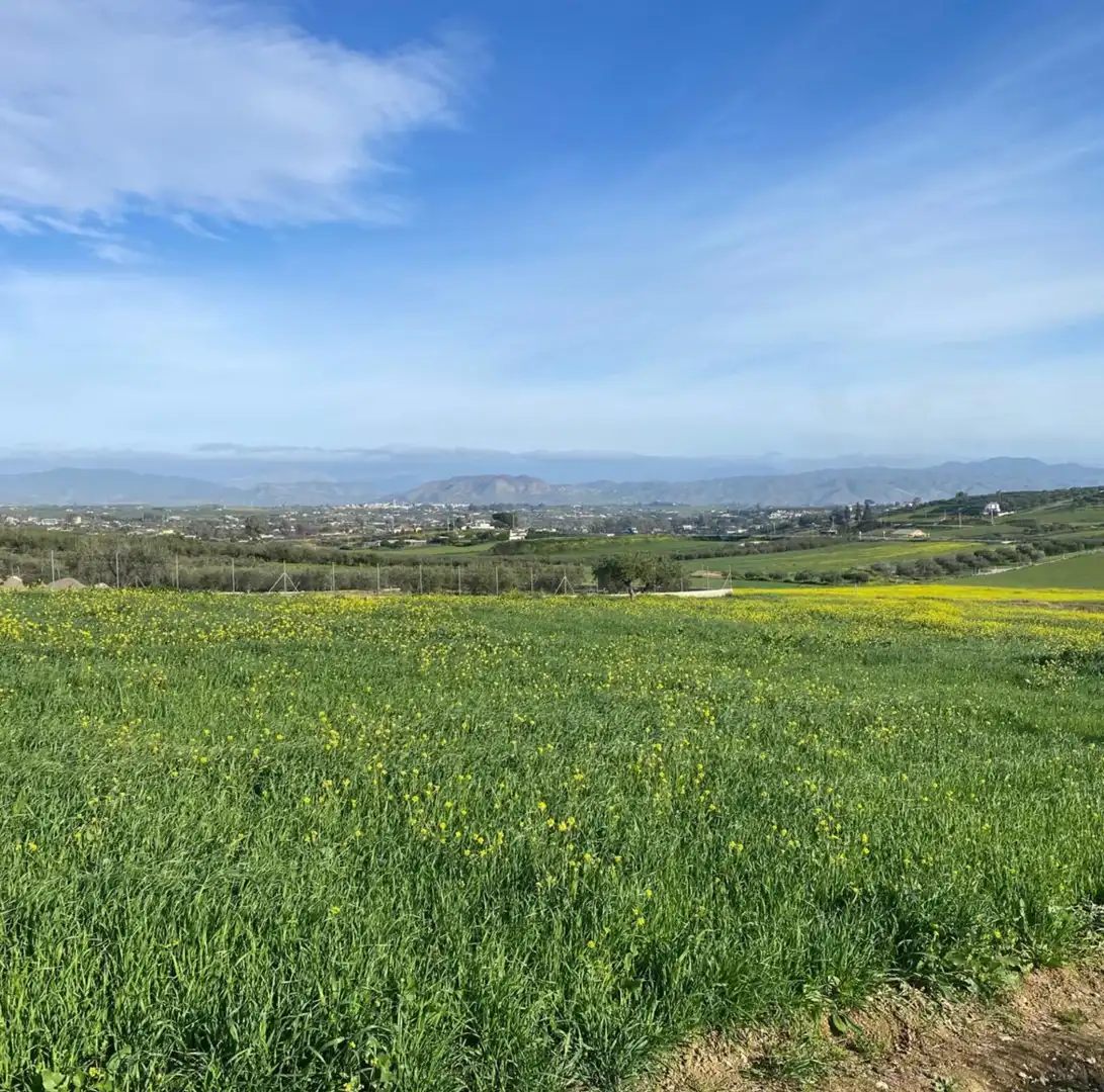 Rural land for sale in La Rosa, imagen 5