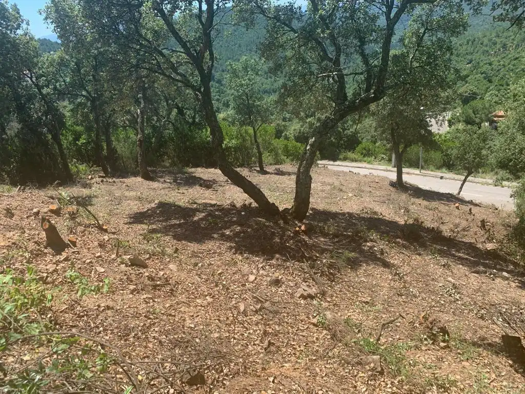 Lands and plots for sale in Riudarenes, imagen 7