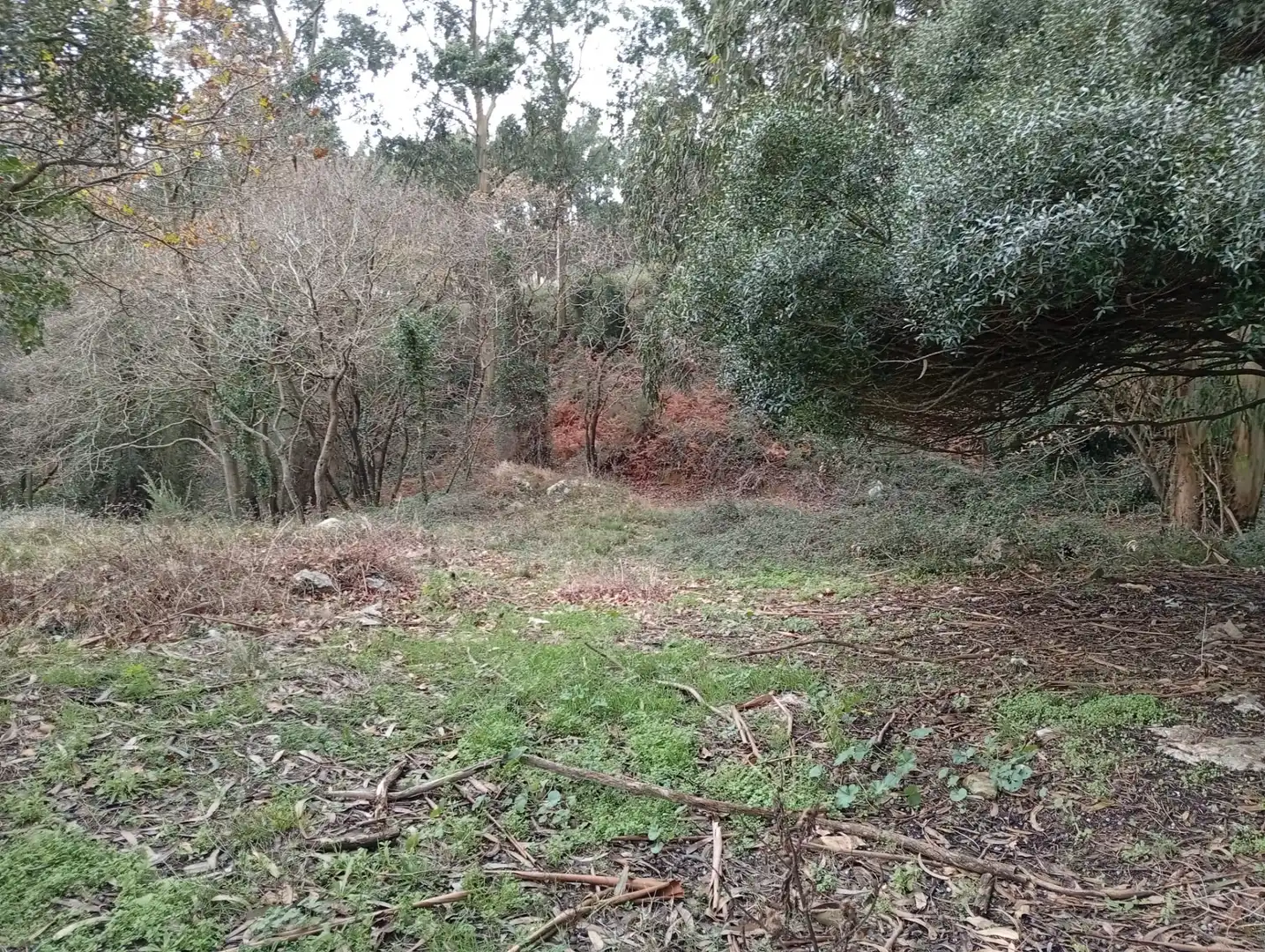 Lands and plots for sale in Cuchía, imagen 2