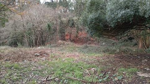 Photo 2 of Land for sale in Cuchía, Miengo