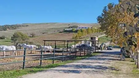 Maison rustique à vendre à Jimena de la Frontera, imagen 5