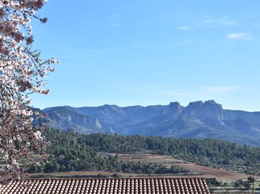 Wohnbaugrundstück zum Verkauf in Carrer de Maragall 18
