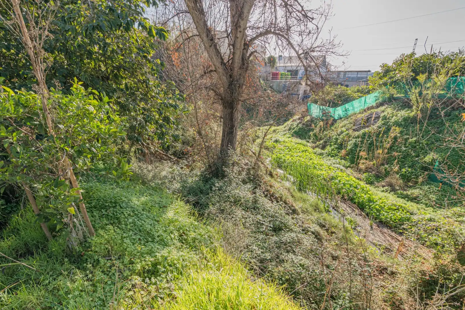 Casa o xalet en venda en Molvízar amb Jardí privat, Terrassa i Traster