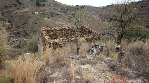 ItraboTerreno, immagine 4