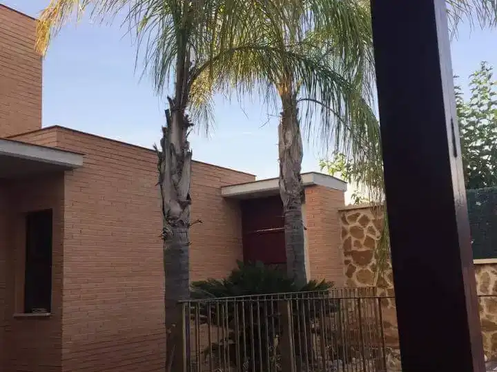 Vista exterior de Casa o chalet de alquiler en Murcia con Aire acondicionado, Jardín privado y Piscina